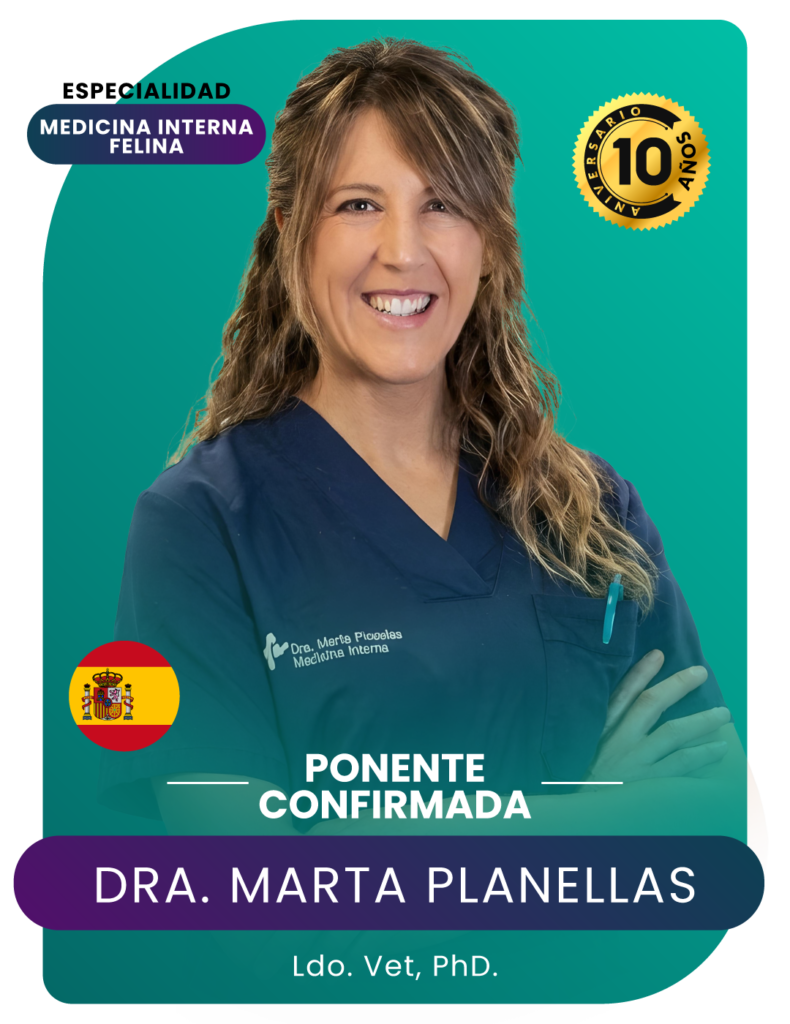 CARTEL DE PONENTES WEB Y REDES-12