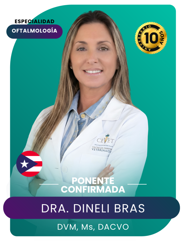 CARTEL DE PONENTES WEB Y REDES-14