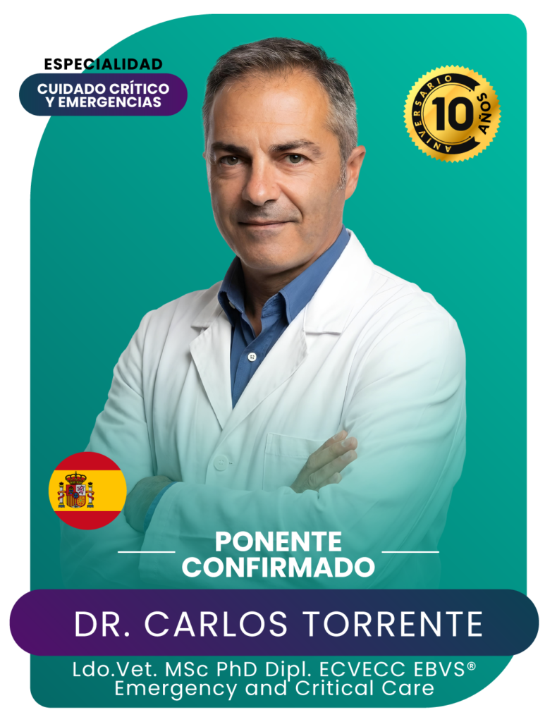 CARTEL DE PONENTES WEB Y REDES-22