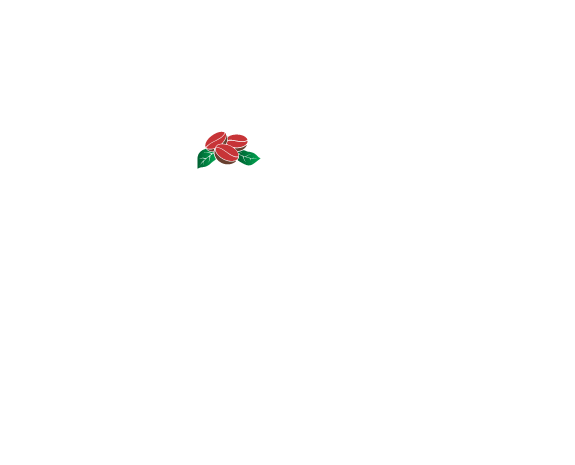 CVDC y CVDL