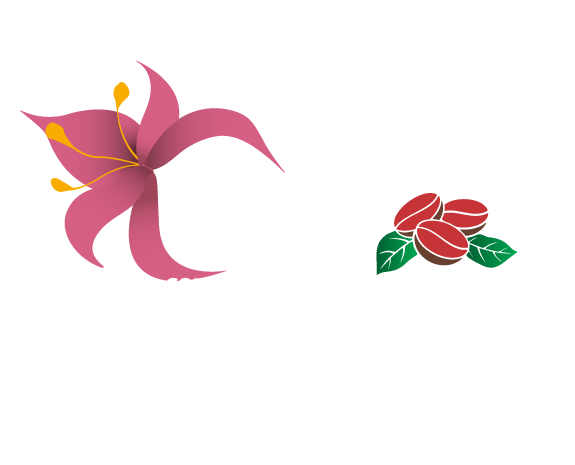 Elemento visual CVDC 2027